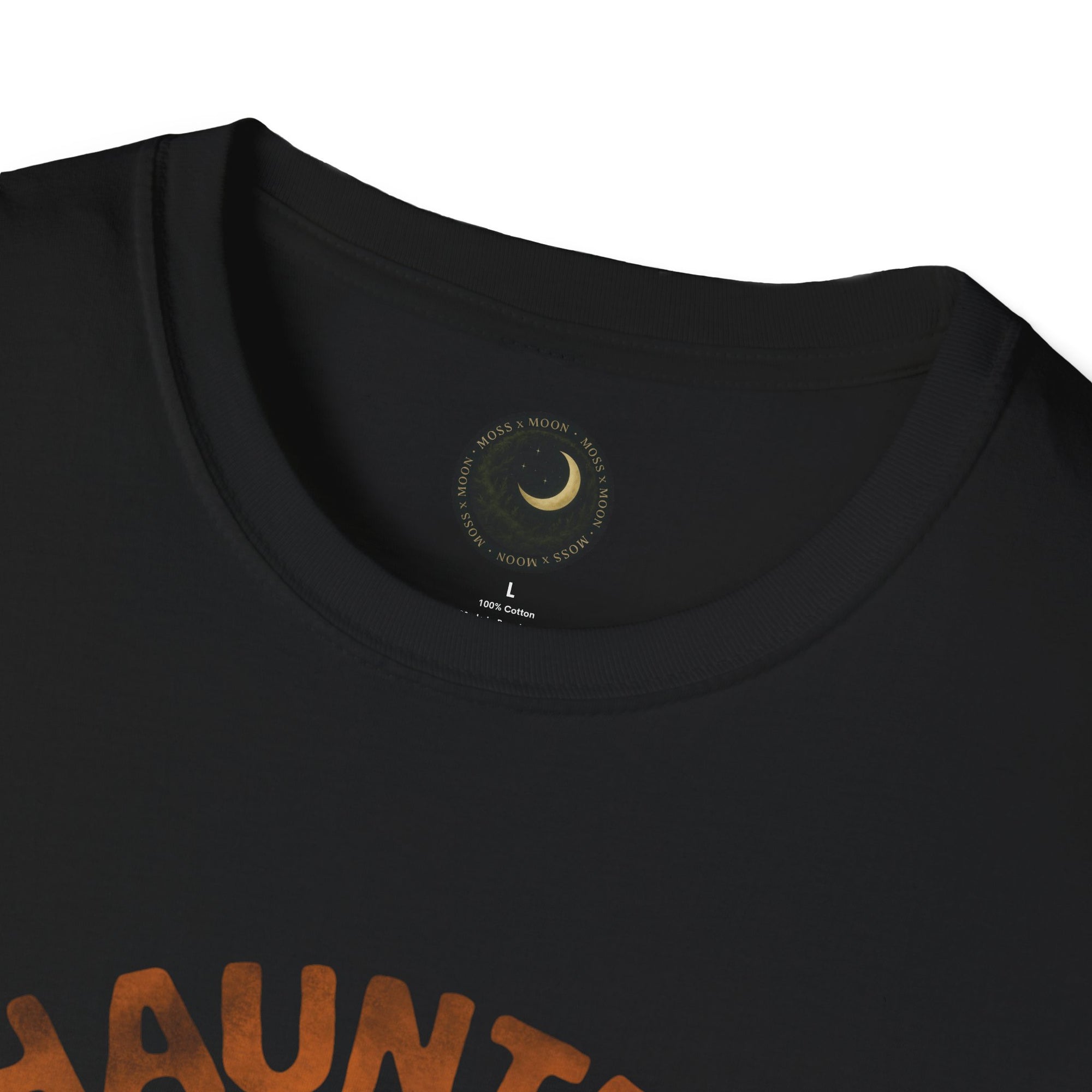 HAUNTED BUT HEALING | Unisex Softstyle T-Shirt